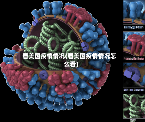 看美国疫情情况(看美国疫情情况怎么看)