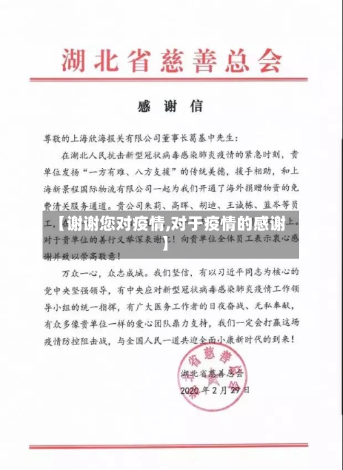 【谢谢您对疫情,对于疫情的感谢】-第3张图片