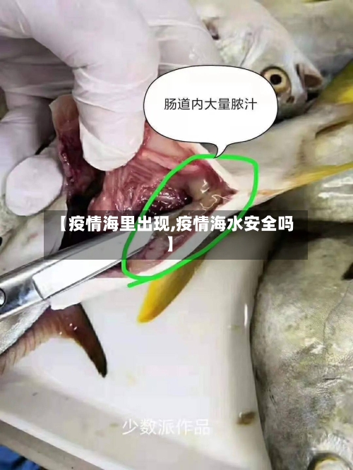 【疫情海里出现,疫情海水安全吗】