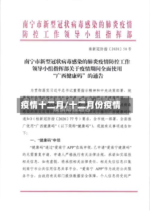 疫情十二月/十二月份疫情