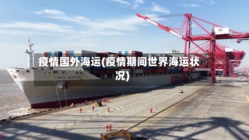 疫情国外海运(疫情期间世界海运状况)-第2张图片