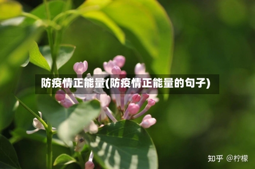 防疫情正能量(防疫情正能量的句子)