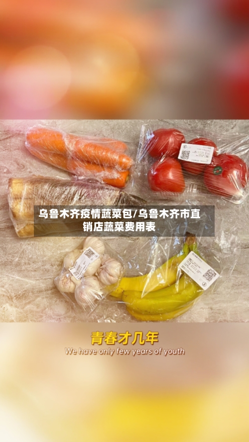 乌鲁木齐疫情蔬菜包/乌鲁木齐市直销店蔬菜费用表-第3张图片
