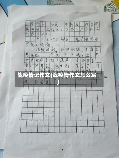 战疫情记作文(战疫情作文怎么写)-第2张图片