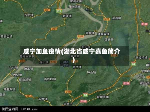 咸宁加鱼疫情(湖北省咸宁嘉鱼简介)-第2张图片
